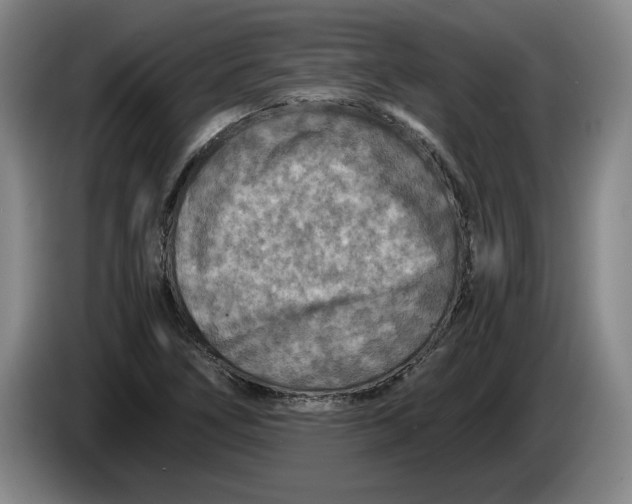 X0000084031266200703092002