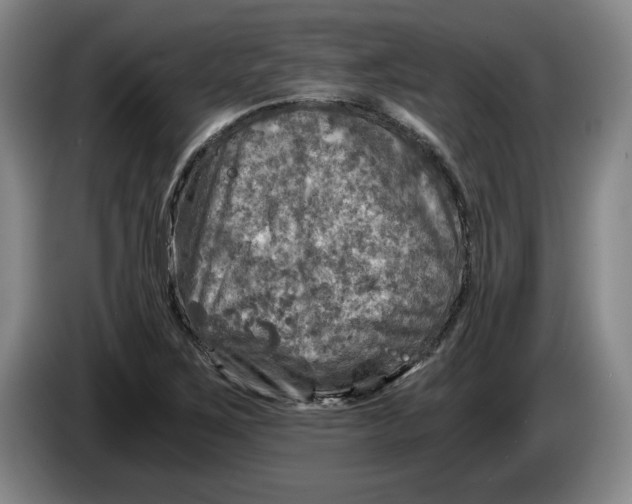 X0000084031267200703092002