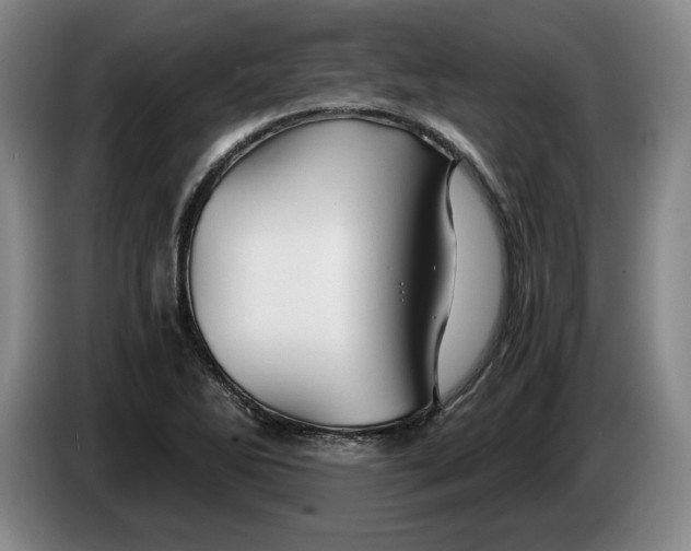 X0000084031270200703092002