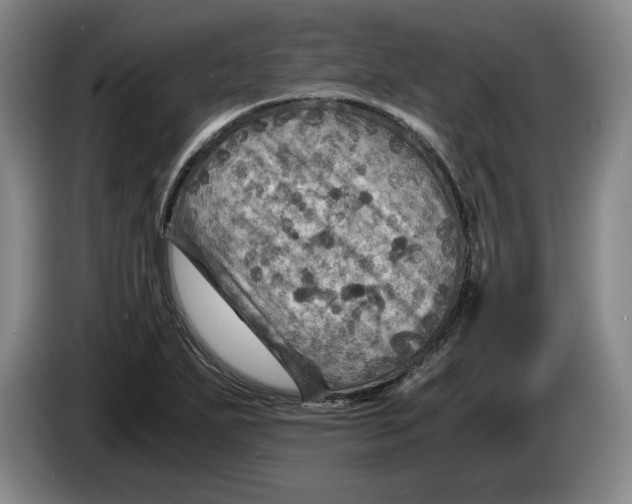 X0000084031271200703092002