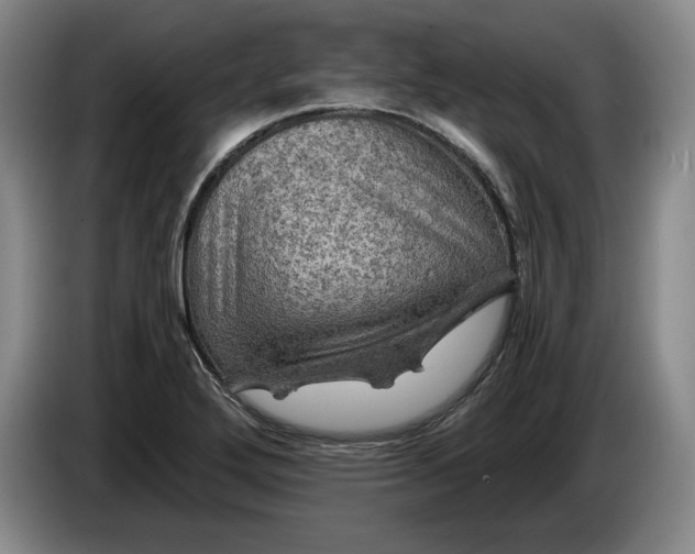 X0000084031272200703092002