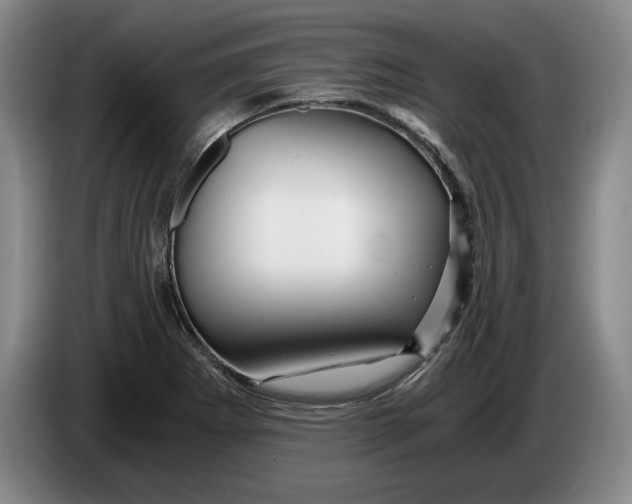 X0000084031273200703092002