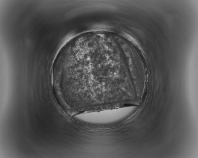 X0000084031275200703092002