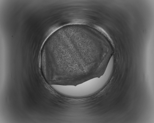 X0000084031276200703092002