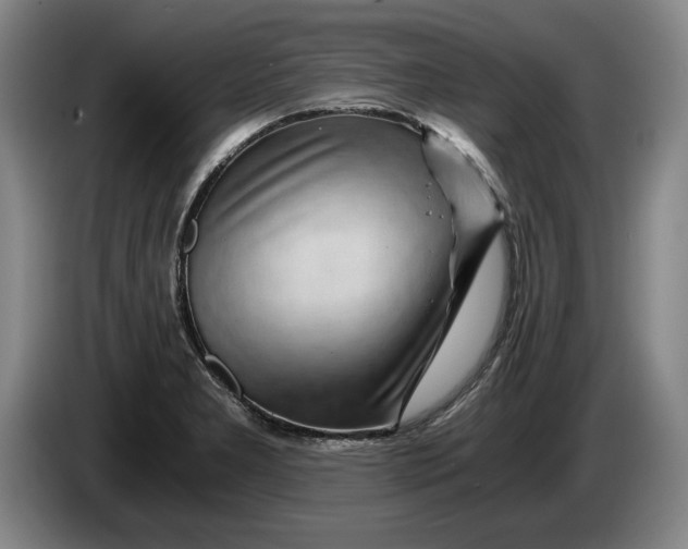 X0000084031277200703092002