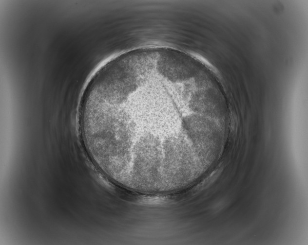 X0000084031278200703092002