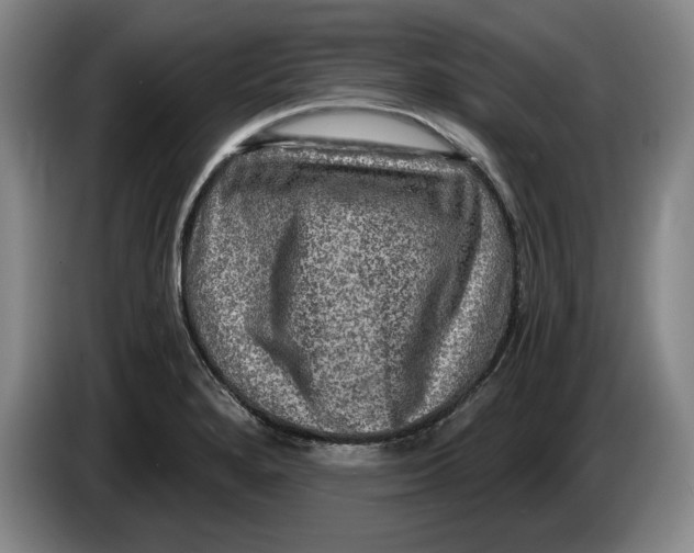 X0000084031280200703092002