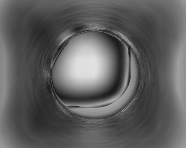 X0000084031281200703092002