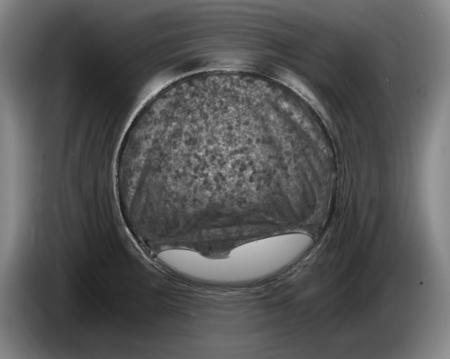 X0000084031283200703092002