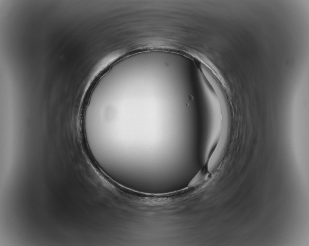 X0000084031285200703092002