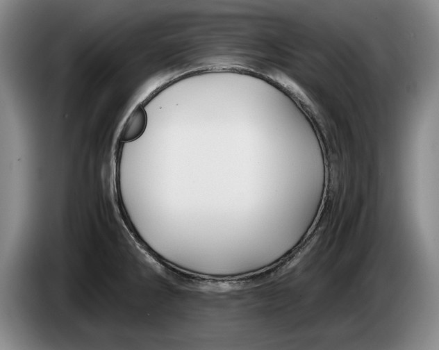 X0000084031286200703092002