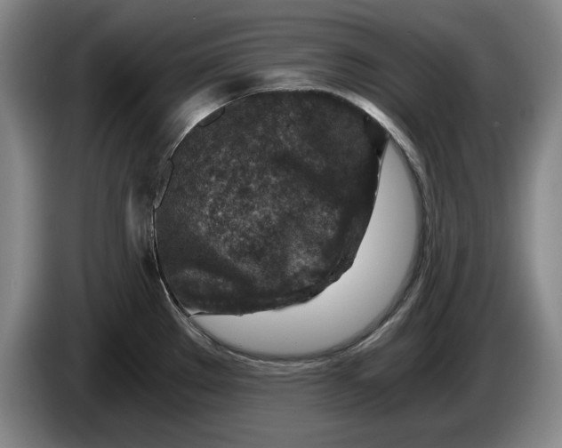 X0000084031289200703092002