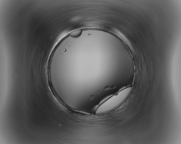 X0000084031291200703092002