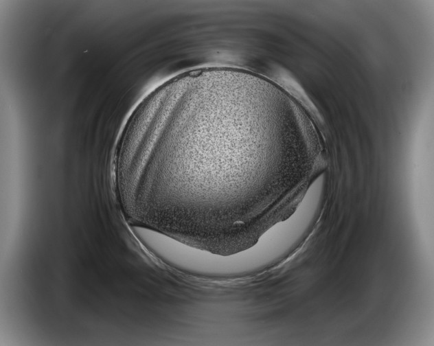 X0000084031292200703092002