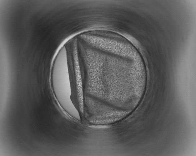 X0000084031296200703092002