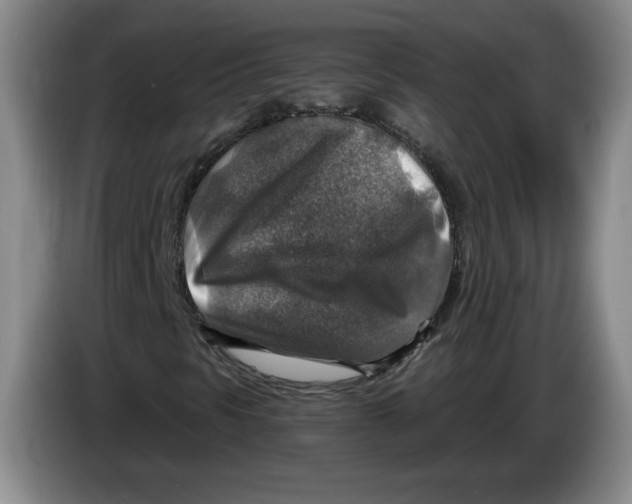 X0000084031297200703092001