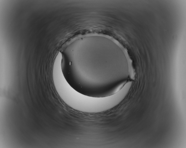 X0000084031298200703092001