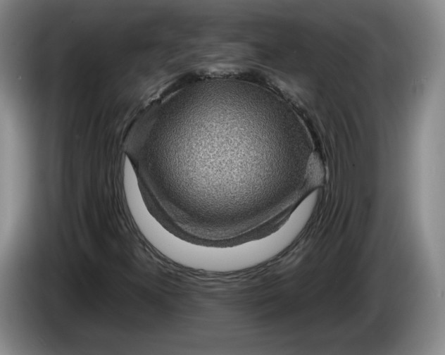 X0000084031300200703092001