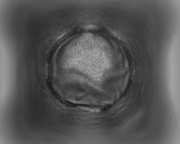 X0000084031301200703092001