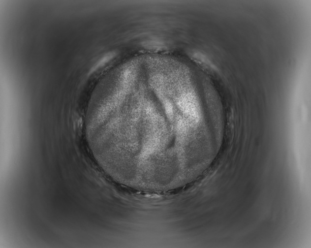 X0000084031302200703092001