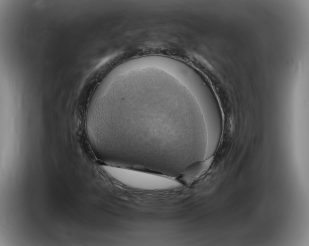 X0000084031303200703092001