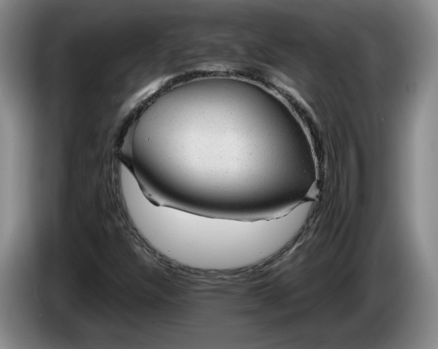 X0000084031304200703092001