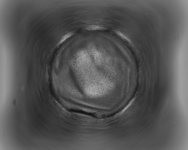 X0000084031305200703092001