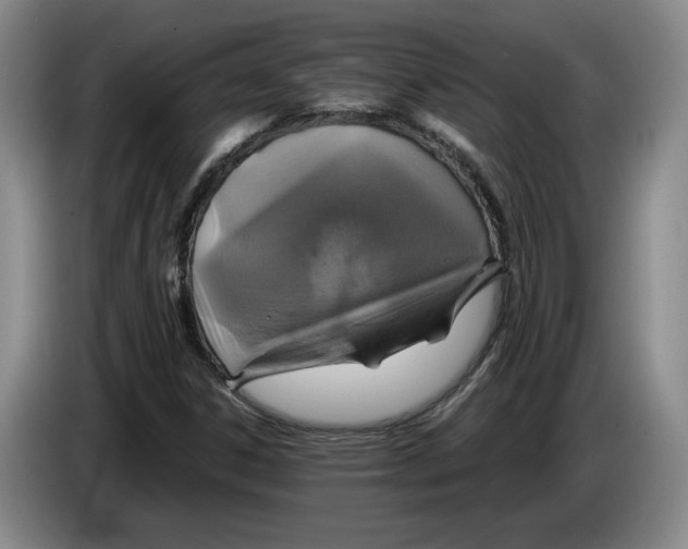 X0000084031306200703092001