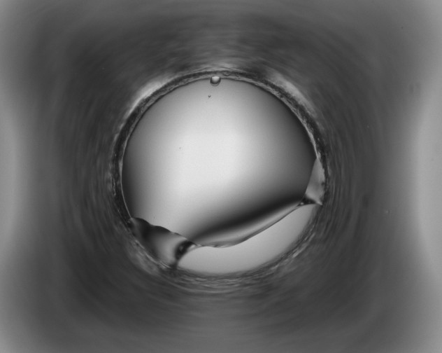 X0000084031308200703092001