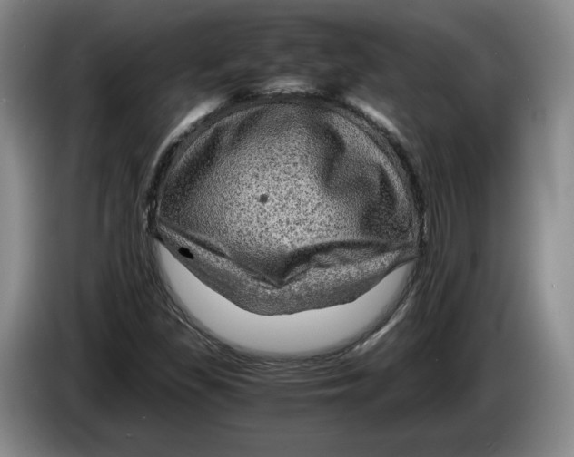 X0000084031309200703092001