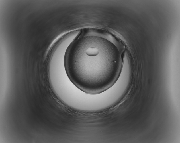 X0000084031310200703092001