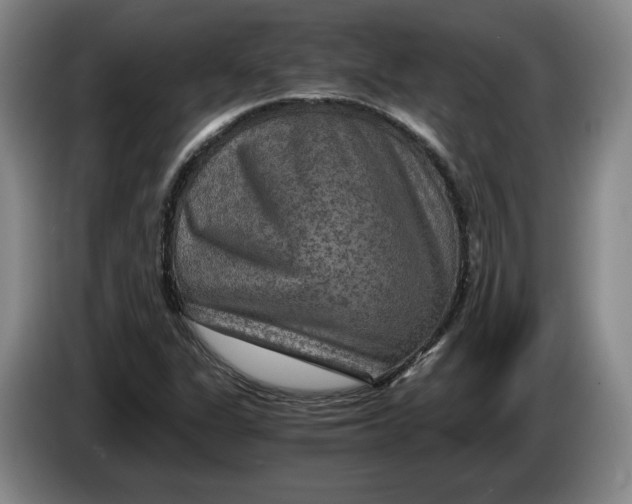 X0000084031311200703092001