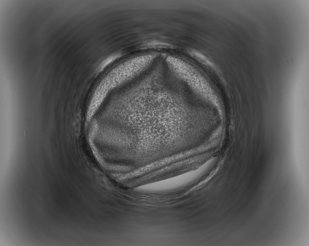 X0000084031313200703092001