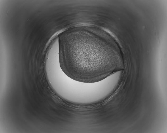 X0000084031314200703092001