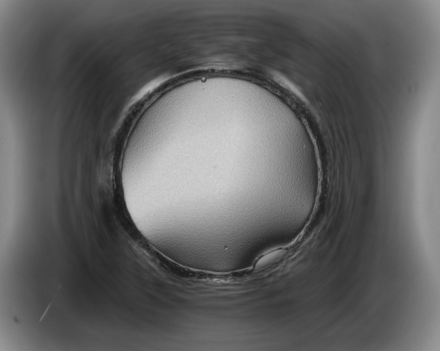 X0000084031315200703092001