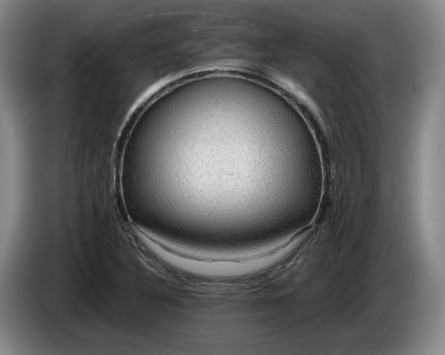 X0000084031316200703092001