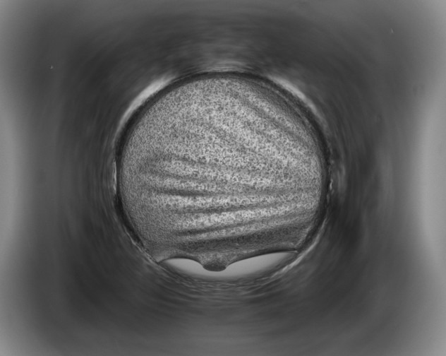 X0000084031317200703092001