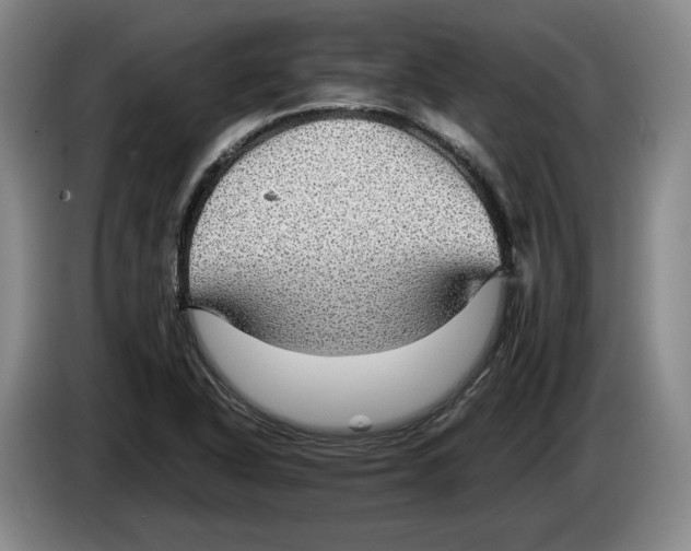 X0000084031318200703092001