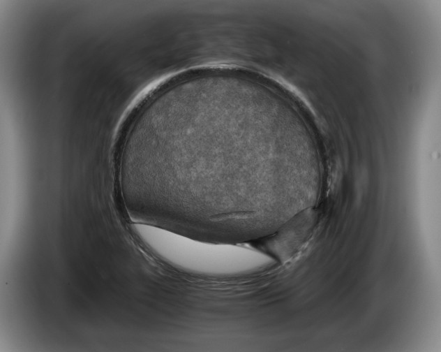 X0000084031319200703092001