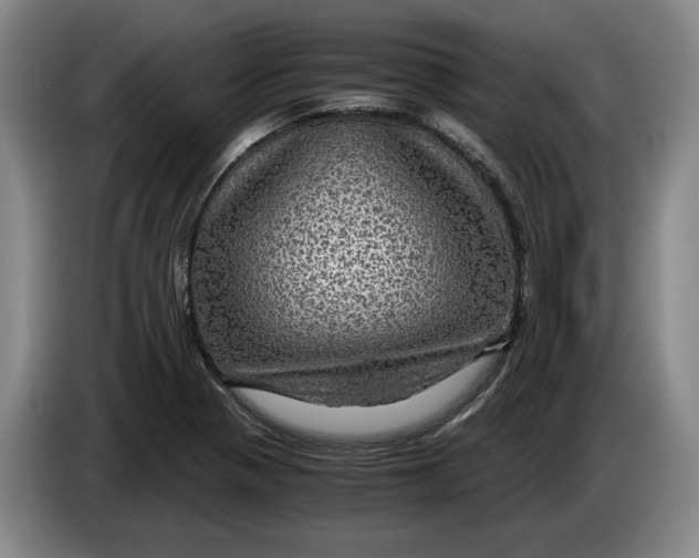 X0000084031321200703092001