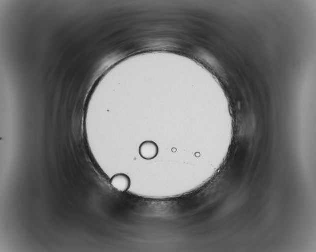 X0000084031322200703092001