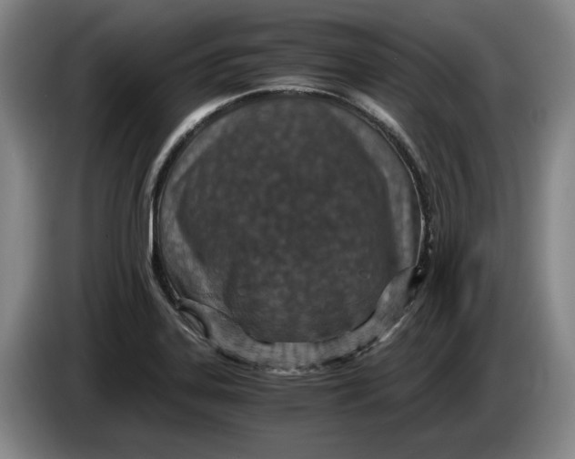 X0000084031323200703092001