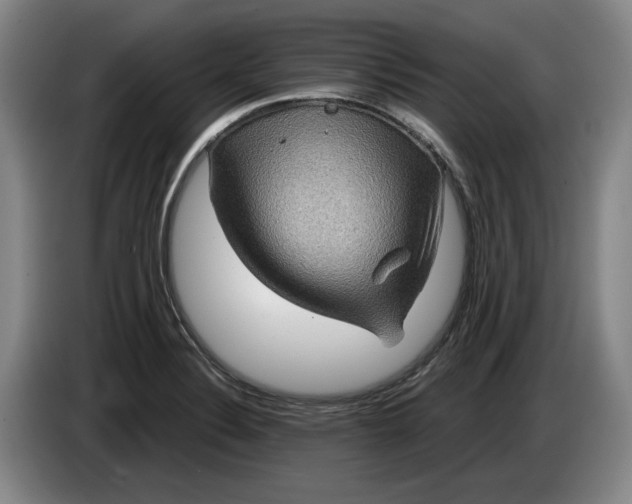 X0000084031324200703092001