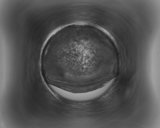 X0000084031327200703092002