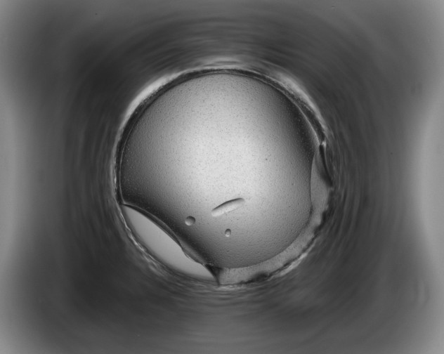 X0000084031328200703092002