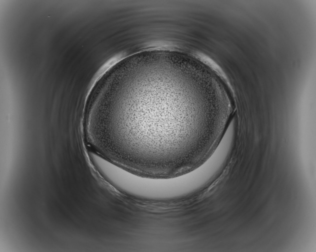 X0000084031330200703092002