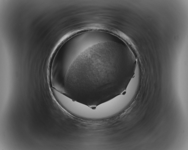 X0000084031334200703092002