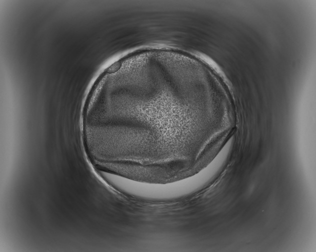 X0000084031335200703092002