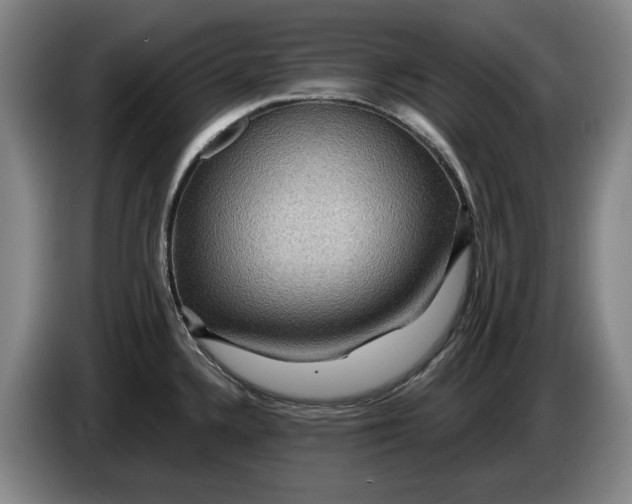 X0000084031336200703092002