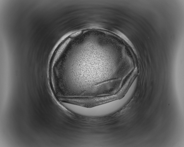 X0000084031339200703092002